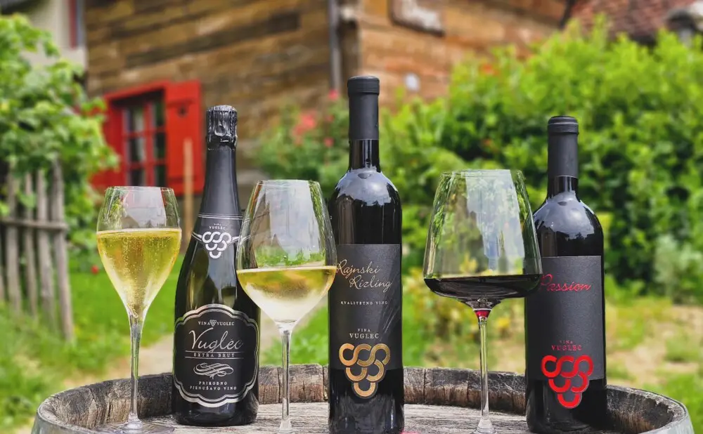 Tasting of Zagorje wines at the Vineyards with a View 2025 event at Vuglec Breg.