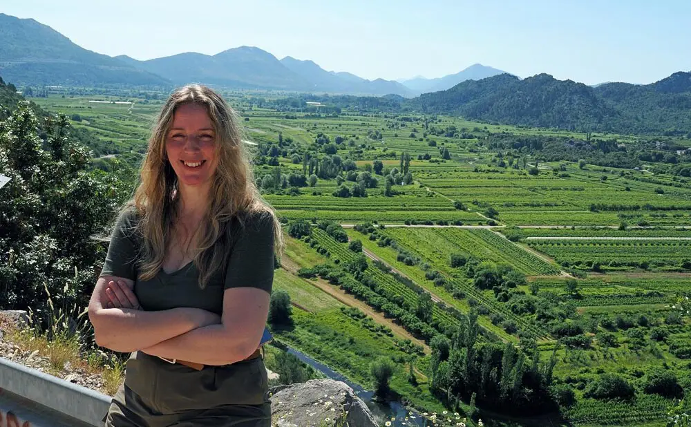 Vinogradi Vrgorske krajine poznate po sortama zlatarica, trnjak i plavka.