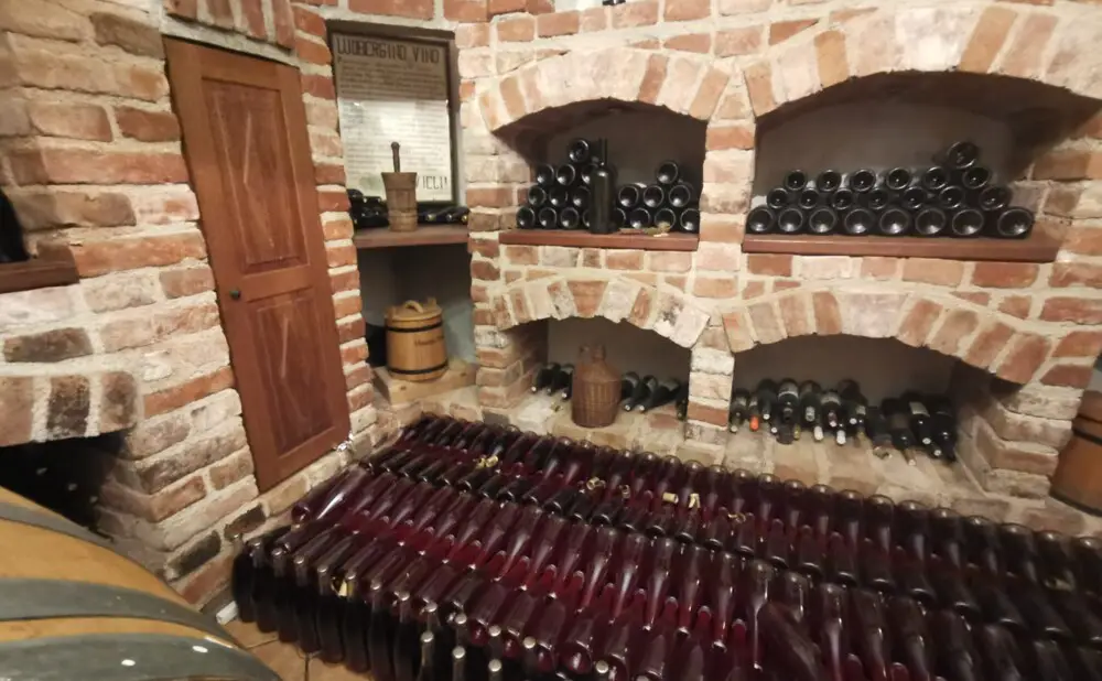Archive Rajnski Rizling (Rhine Riesling) from the Stručić winery, vintages 2016 to 2022, at a wine tasting.