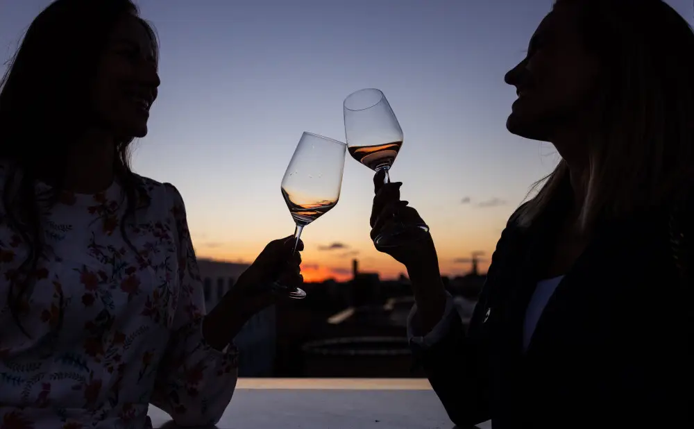 The new Sávoj wine line from the Belje winery presented on the rooftop terrace of the Osijek Cultural Centre.