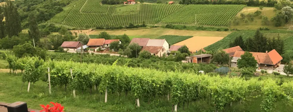 Frlan of Vivodina and Šimanović of Pribić to pour their wines at the Rizling Raj(n)ski Festival at Hotel Capital on 22 November