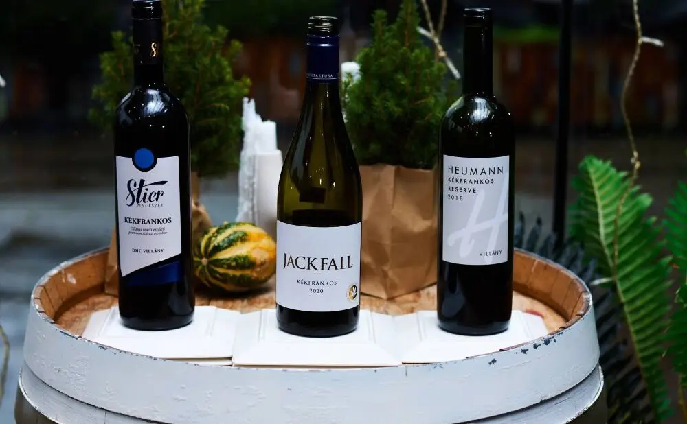 Frankovke iz Hrvatske, Austrije, Mađarske i Slovenije predstavljene su u Wine & Friends baru u Zagrebu.