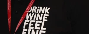 VINOcom 2025. u Esplanadi! Završilo je 18. izdanje Festivala vina i kulinarstva, evo priče u 18 slika