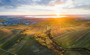 Austrian Wines Meets Croatia! Evo vina s ‘austrijskog mora’ koja treba kušati 26. veljače u zagrebačkom Westinu