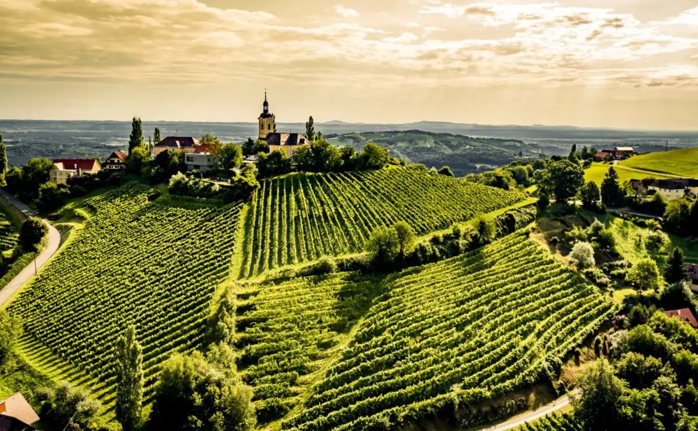 Austrian Wines Meets Croatia! Štajerska nam je najbliža austrijska regija. Osam vinarija stiže u Zagreb