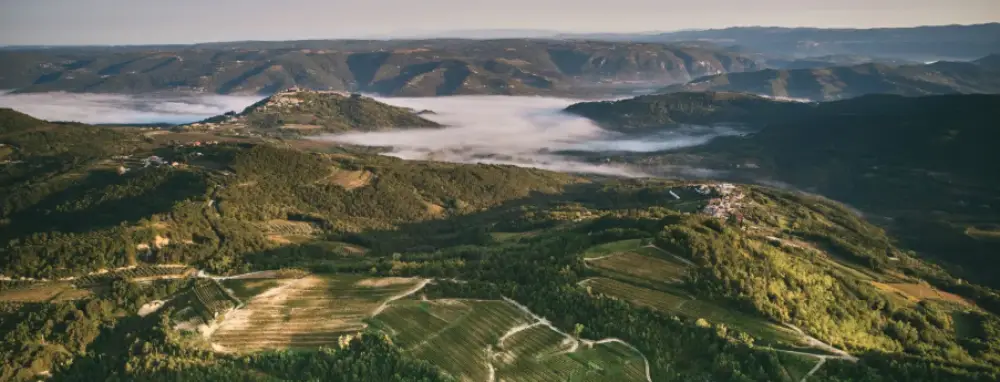 Fotografija istarskog vinograda uvrštena među 50 najljepših svjetskih pejzaža na izložbi bordoškog muzeja Cité du Vin