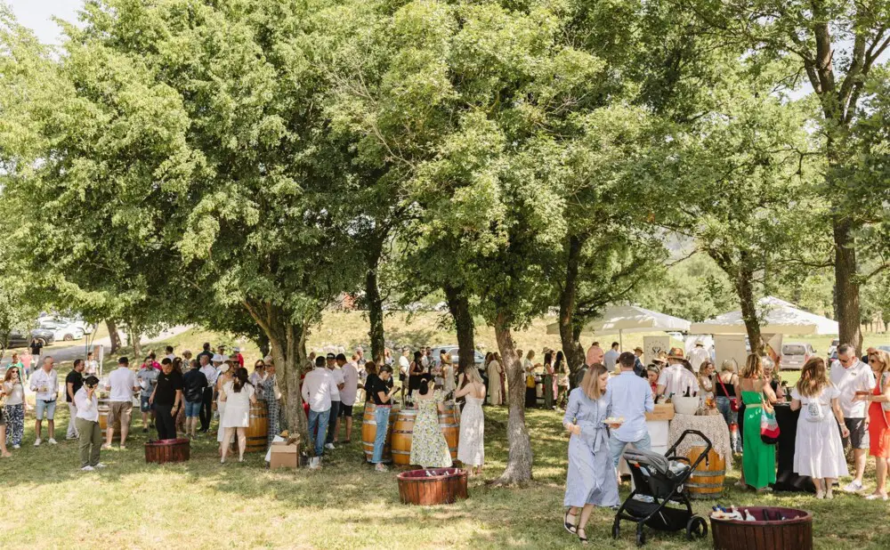 Guests enjoy sparkling wines and local delicacies at the Sparkling Breakfast in the Pavlomir vineyard in Novi Vinodolski.