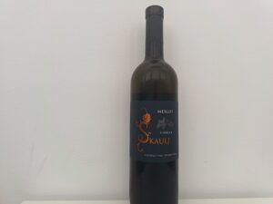 Vinska preporuka: Škaulj Merlot 2020.
