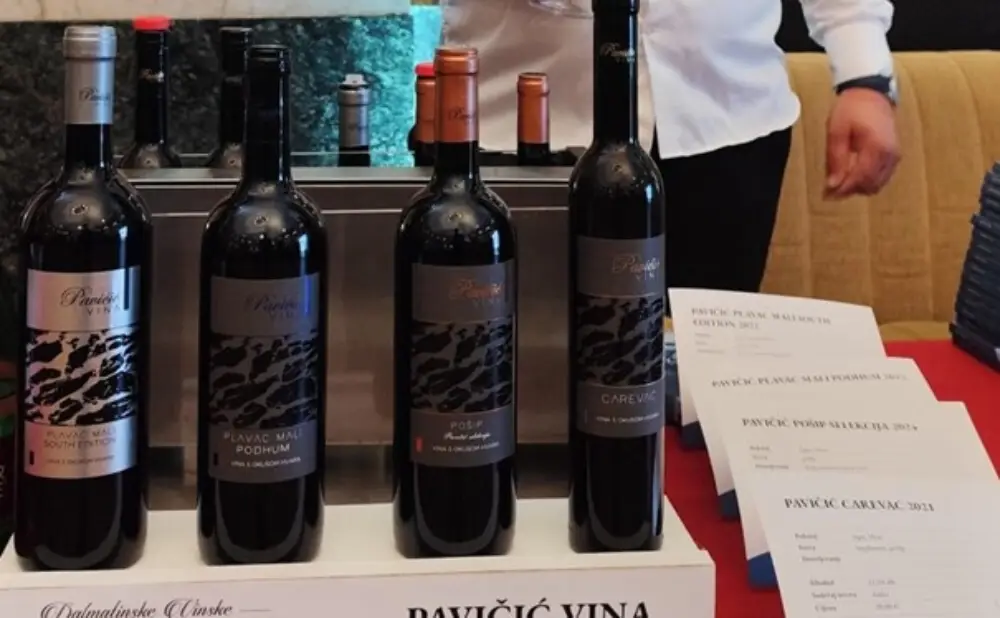 The Veliki plavac mali masterclass presented the best wines from Dingač, Postup and Komarna