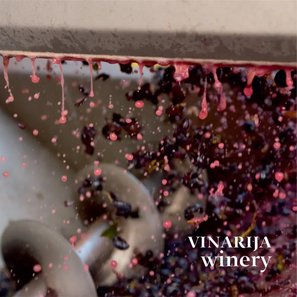 Vislander wines
