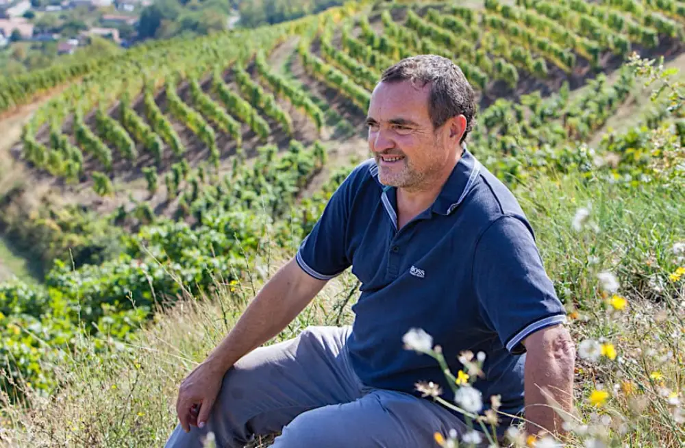 Yves Cuilleron Viognier